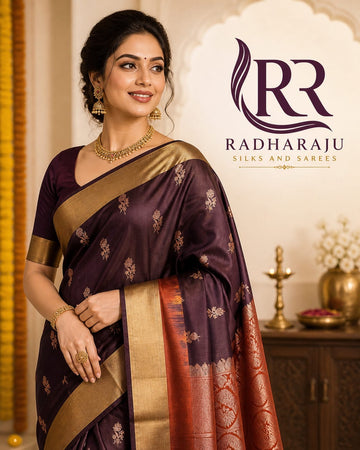 Pure Kanchipattu Handloom Saree