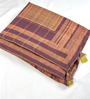 Premium Fancy Wear Saree